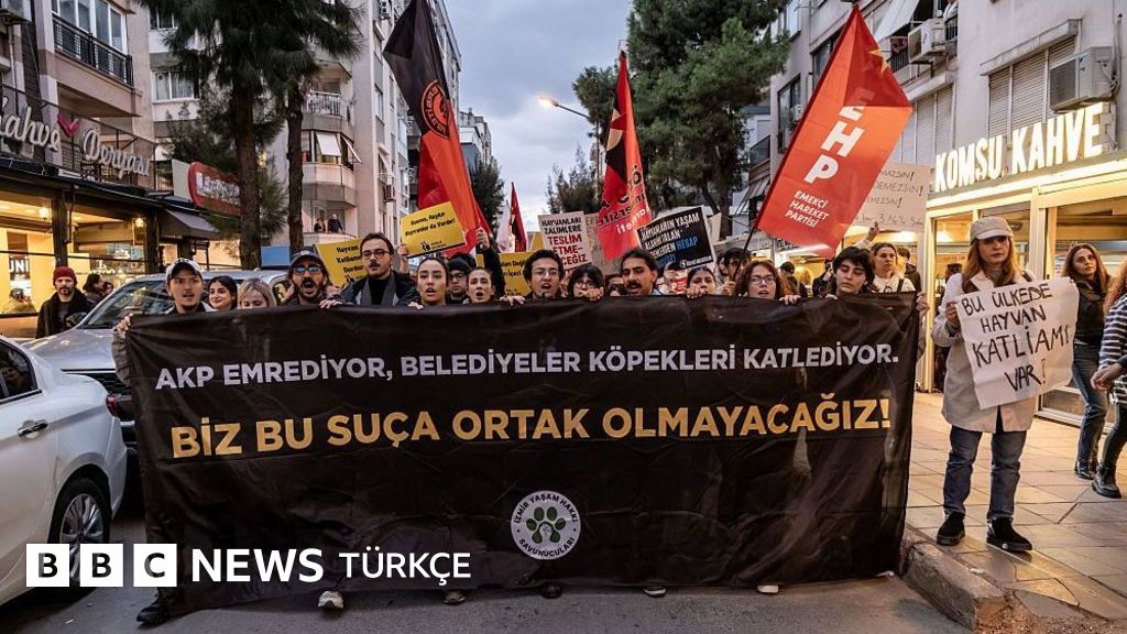 Ege Üniversitesi'ndeki köpeklerin toplatılmasında taraflar ne diyor?