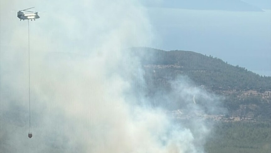 Bodrum'da çıkan orman yangını kontrol altına alındı