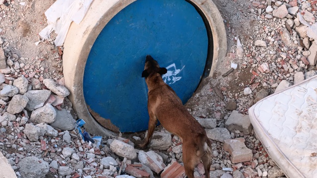 İnegöl'deki enkaz alanı, farklı illerden gelen köpekli ekiplere eğitim sahası oldu