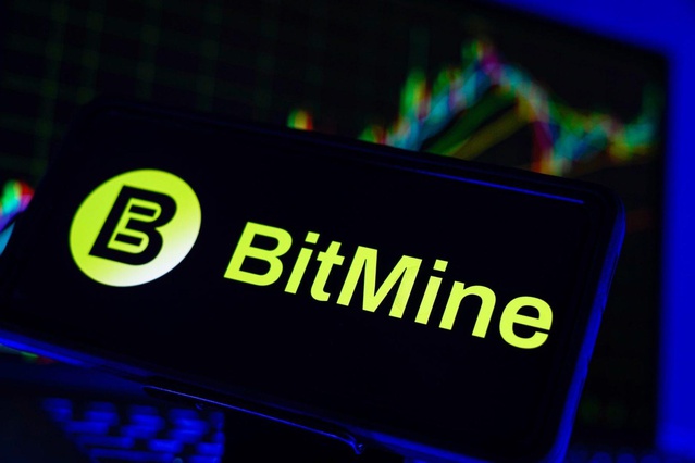 Bitmine Ethereum alımlarını sürdürdü