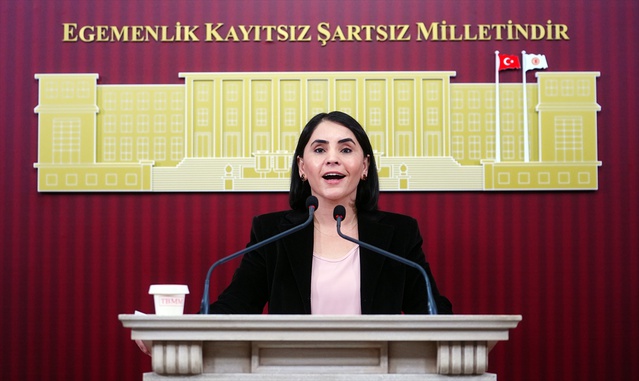 DEM Parti vekilleri Meclis'te pancara yüzde 20 zam ve eğitim masraflarını gündeme getirdi