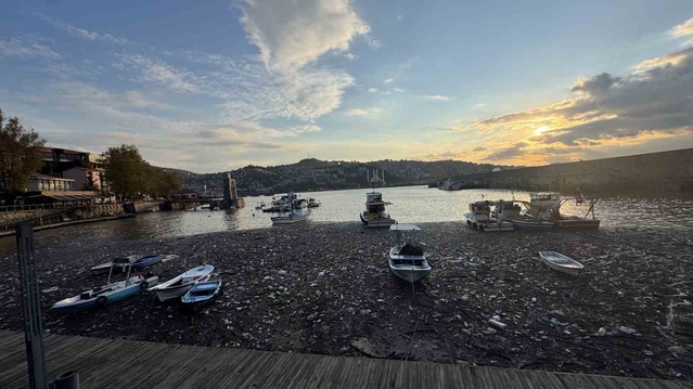 Zonguldak'ta sağanak sonrası derelerden sürüklenen çöpler limanda birikti