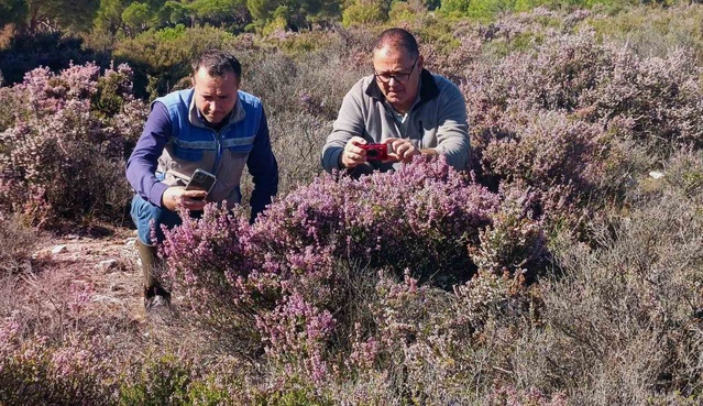 EKODOSD Başkanı Sürücü, Latmos pürenliklerinin arıcılık için korunmasını istedi