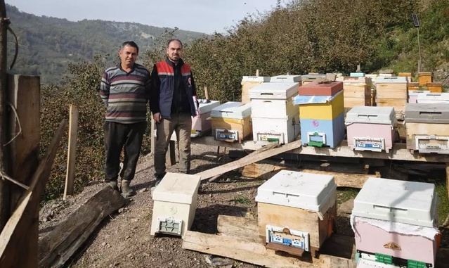 Düzce Yığılca'da arıcılık kaydı için Kırık ve Gelenöz'de kovan sayımı yapıldı