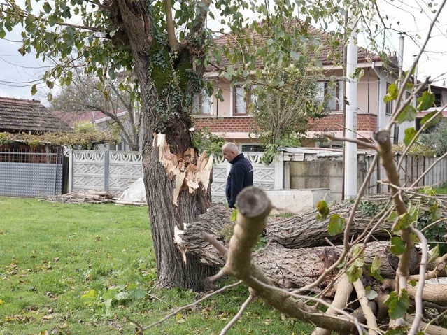Düzce Belediyesi ekipleri devrilen ağaçlara müdahale ederken vatandaşları uyardı