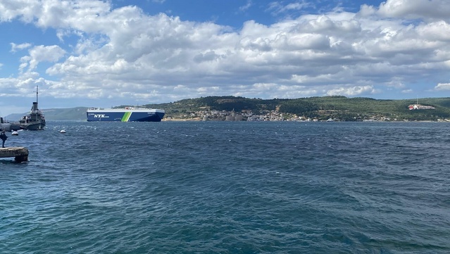 Marmara ve Çanakkale Boğazı'nda palamut akını su 16-17 dereceye düşünce gecikti
