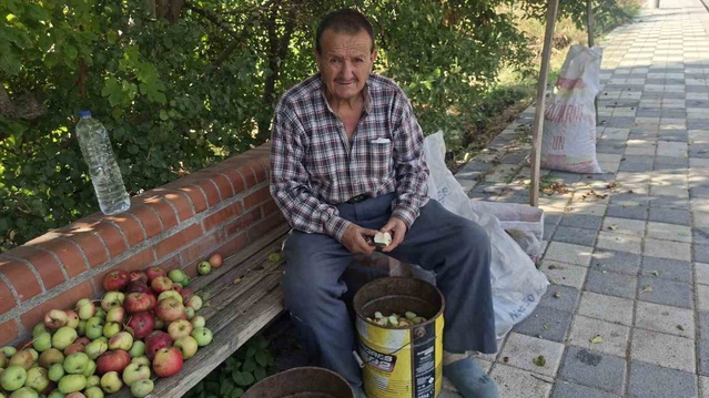Elma kurusu fiyatı Hisarcık'ta 70 liradan 40 liraya geriledi, üretici bekliyor