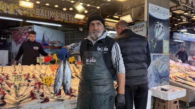 Trabzon'da palamut bol avlandı, tezgahlarda 100-150 liradan satılıyor