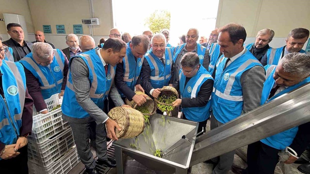 Balıkesir Edremit'te I. Akademik Zeytin Hasat Şenliği öğrencilerle yapıldı