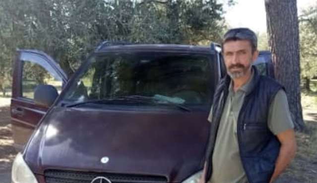 Manisa Akhisar'da zeytin toplayan Hulisi Koz'u arı soktu, hayatını kaybetti