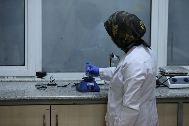 KBÜ çalışmasında zeytin yaprağı ratlarda inflamasyon belirteçlerini azalttı
