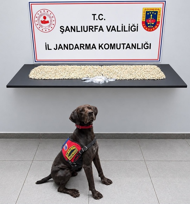 Şanlıurfa Eyyübiye'de jandarma şüphelinin evinde 14 bin 410 Captagon buldu