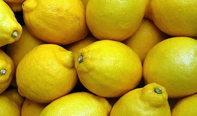 TZOB ekim raporu limonda üretici-market fiyat farkını yüzde 999,2 olarak açıkladı