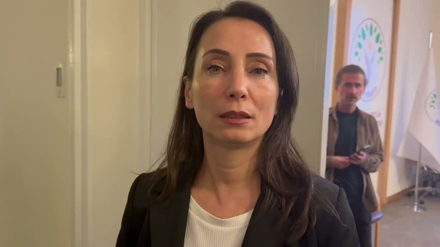 AKPM Başkanı Petra Bayr, DEM Parti ile AİHM kararlarını ve Öcalan'ın rolünü görüştü