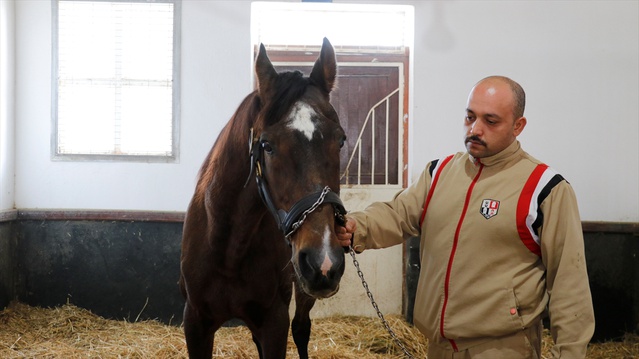 İzmit'te yaşayan Victory Gallop, 17 yıllık aygırlık kariyerini 31 yaşında noktaladı