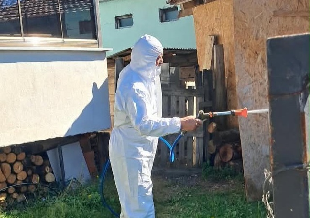 Düzce Kaynaşlı'da kahverengi kokarcaya karşı kışlak ilaçlaması yapıldı