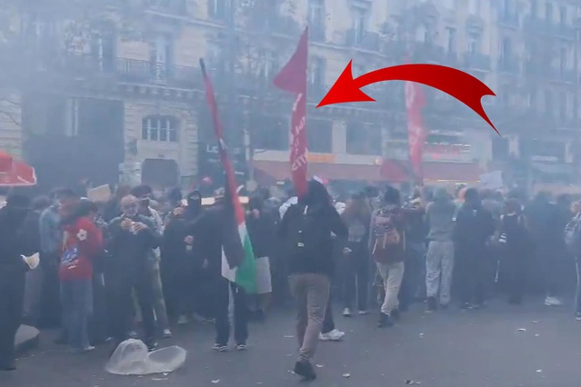Fransa'daki protestolarda TİP bayrağı sürprizi