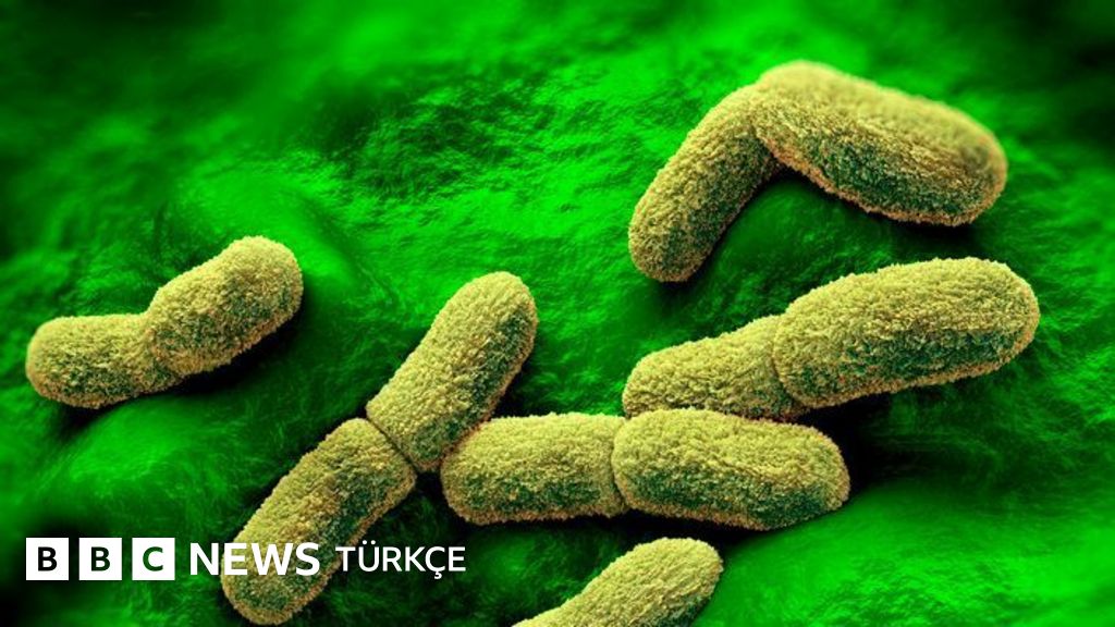 Rusya'da veba araştırma merkezindeki çalışanın ölümüyle ilgili neler biliniyor?