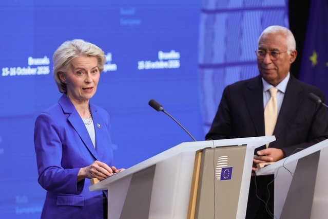 AB, Libya Meclisi'nin Türkiye ile deniz anlaşması onayını derin üzüntüyle karşıladı