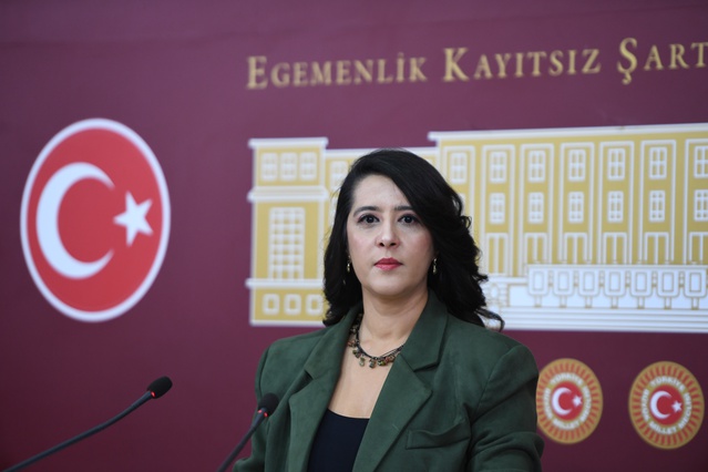 EMEP'li Karaca, 1 milyar TL'lik kamu zararı iddiasını Meclis gündemine taşıdı