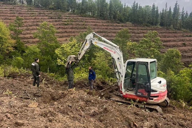 Gönen'de 250 hektarlık endüstriyel plantasyon sahasında hazırlıklar incelendi