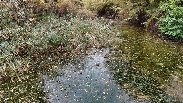 Eskişehir'de sonbahar yağışları Porsuk Barajı ve tarım arazilerine fayda sağladı