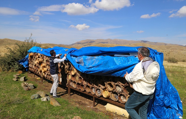 Bitlis'te karakovan balı hasadı başladı, kentte yaklaşık 100 bin karakovan bulunuyor