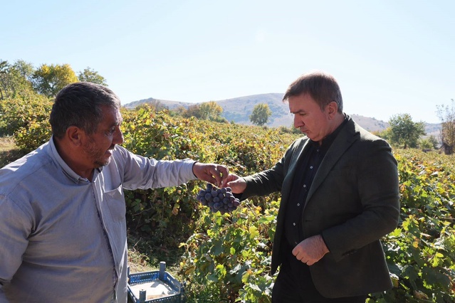 Erzincan Valisi Aydoğdu, Üzümlü Pişkidağ'da üzüm hasadı yapan üreticiyle görüştü