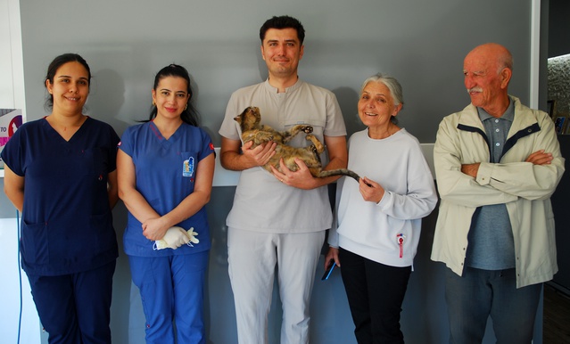 Kumluca yangınında yüzde 40 yanan kedi Luna, 2 aydan fazla tedaviyle ailesine kavuştu