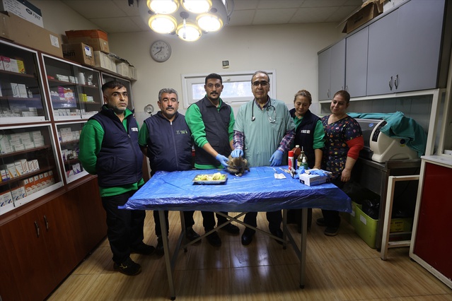 Yasa dışı yollarla getirilen 3 aylık makak, Gaziantep'te 'Garip' adıyla maskot oldu