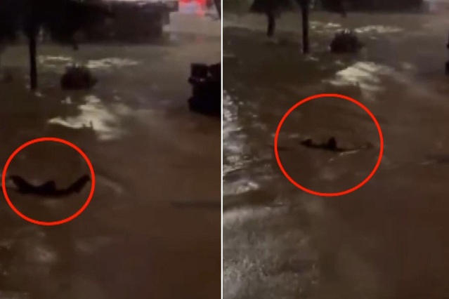 Sarıyer Ayazağa'da akıntıya kapılmamak için yüzen kişi kurtarıldığı öğrenildi