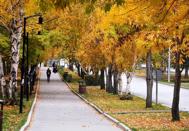Meteoroloji, Erzurum ve Ardahan çevresinde öğleden itibaren sağanak uyarısı yaptı