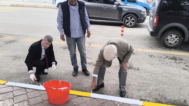 Iğdır'da bordür taşları valilik personeli ve vatandaşların katılımıyla boyandı