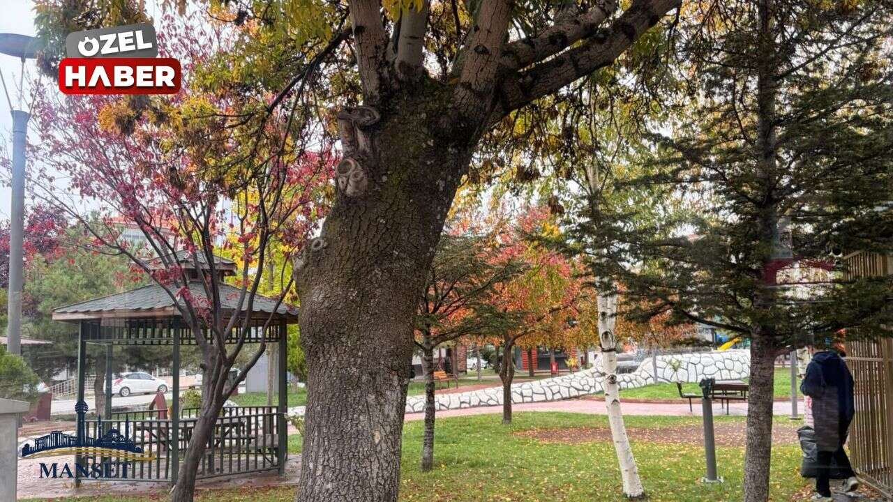 Ankara sonbahar renklerine büründü