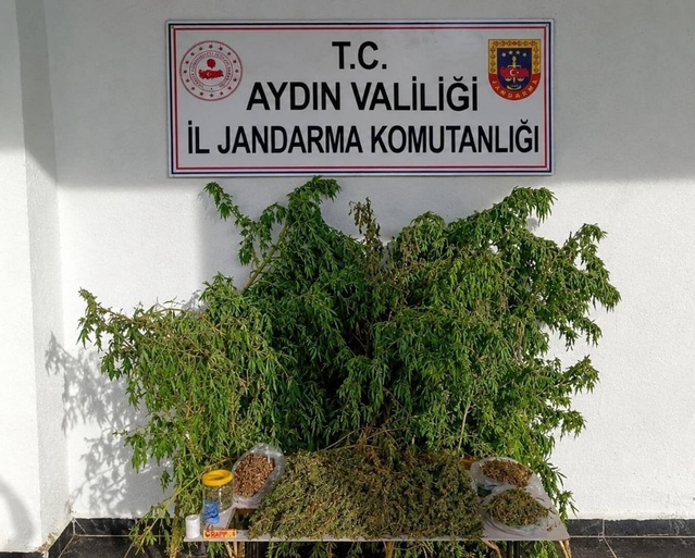 İncirliova'da jandarma baskınında 3 kilo 42 gram esrar bulundu, H.K. gözaltına alındı