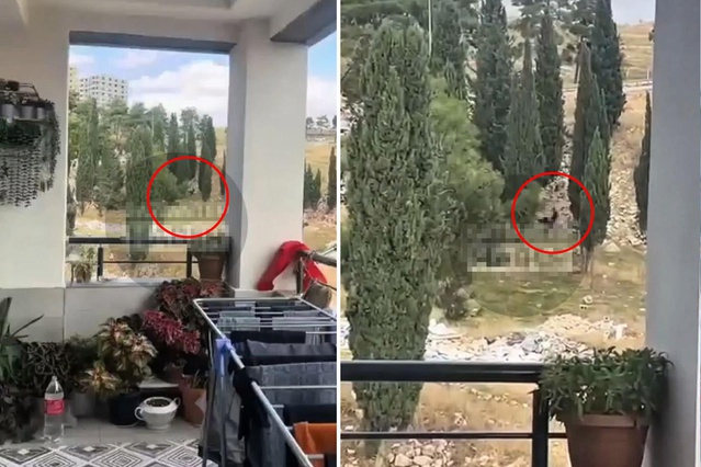Bir ilimiz bu olayı konuşuyor! Güpegüngüz cinsel ilişkiye girdiler