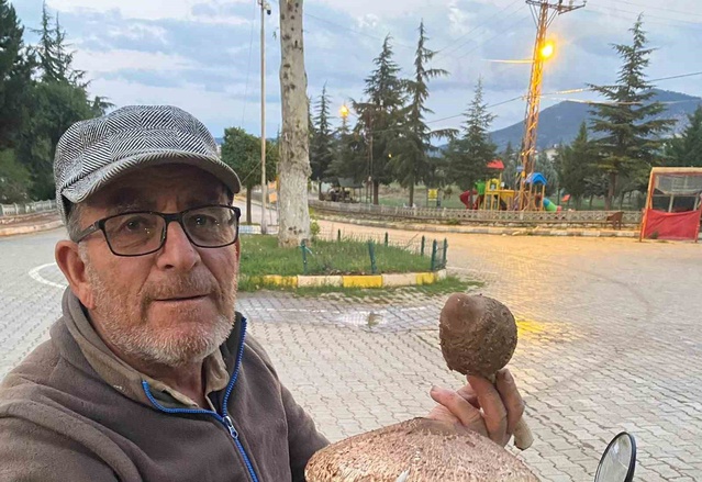 Konya Beyşehir'de mantar toplayan vatandaş, büyük külah mantarı konusunda uyardı