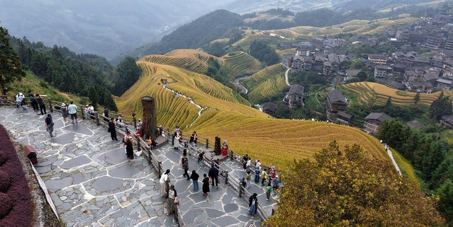 Guilin Longsheng'de Longji pirinç terasları sonbaharda turistlerin ilgisini topladı