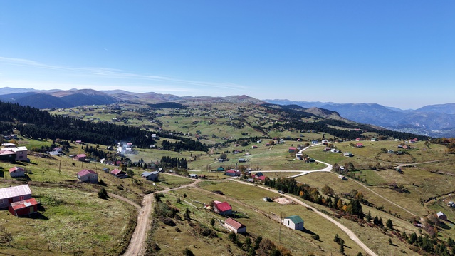 Trabzon Akçaabat'ta yayla dönüşü başladı, hayvanlar süslenerek köylere indi