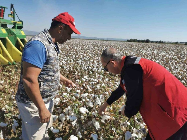 Pamuk hasadı Manisa Saruhanlı'da başladı, ekipler tarlalarda makine kontrolü yaptı