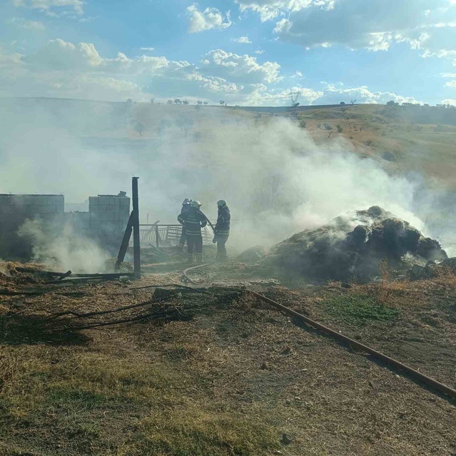 Kütahya Gediz'de samanlık ve hayvan damı yangını 1 kişiyi öldürdü, 5 hayvanı telef etti