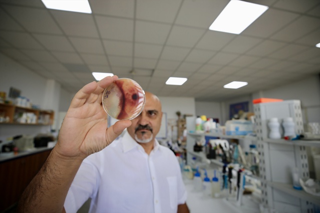Türk-Alman bilim insanları nematoddaki RXP'nin DEET'ten 100 kat etkili olduğunu buldu