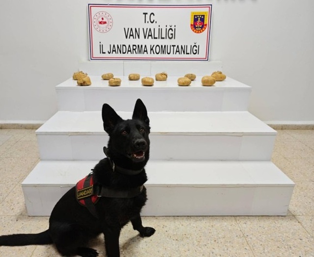 Van Başkale'de jandarmanın düzenlediği operasyonda 11 kilo 958 gram esrar bulundu