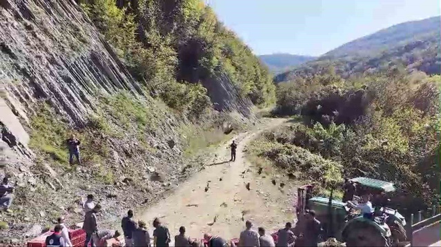 Sinop'ta biyolojik çeşitlilik için 550 sülün doğal yaşam alanlarına bırakıldı