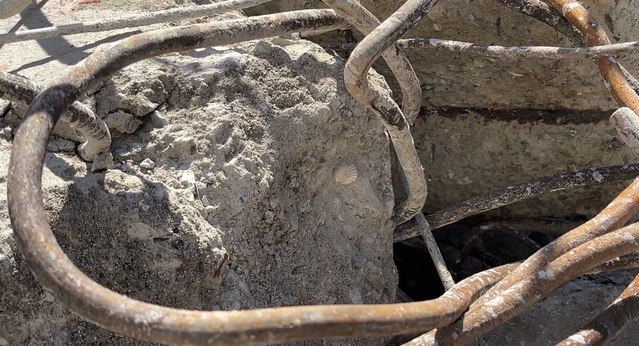 Maltepe'de çöken binanın betonunda deniz kabuğu görüldü, 5 kişi hayatını kaybetti