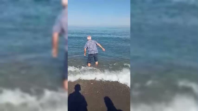 Kıyıya vuran yunus, Sinop Türkeli'de bir vatandaşın çabasıyla yeniden denize kavuştu