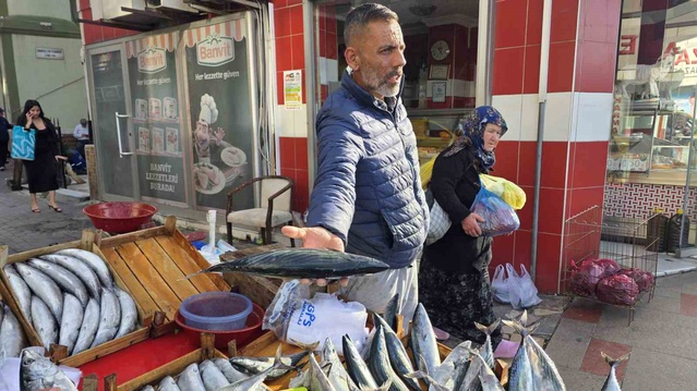 Bandırma'da seyyar balıkçı tezgahlarında küçük boy palamut 75 liraya düştü