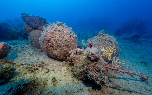 Ayvalık'ta dalışa açılan 1500 yıllık Bizans batığında amforalar görüntülendi