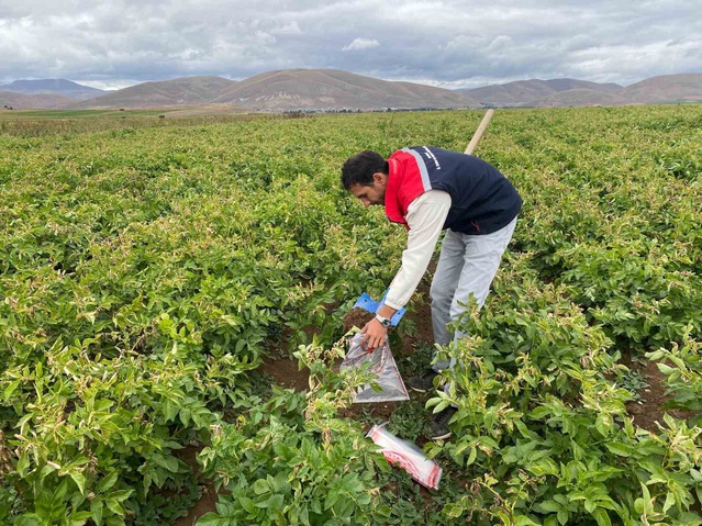 Bayburt'ta patates alanlarından alınan toprak numuneleri laboratuvara gönderildi