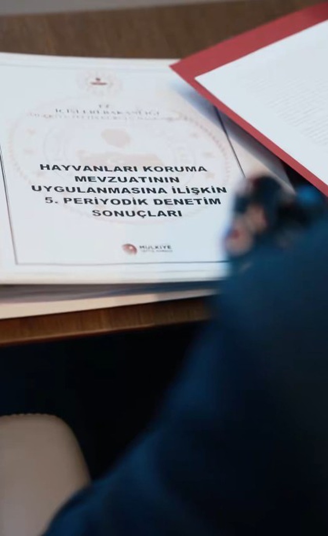 Bakan Çiftçi sahipsiz hayvanlarda güvenlik ve refahın birlikte gözetileceğini açıkladı